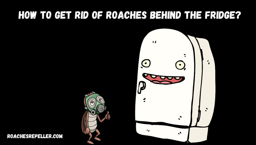 How To Get Rid Of Roaches Behind The Fridge