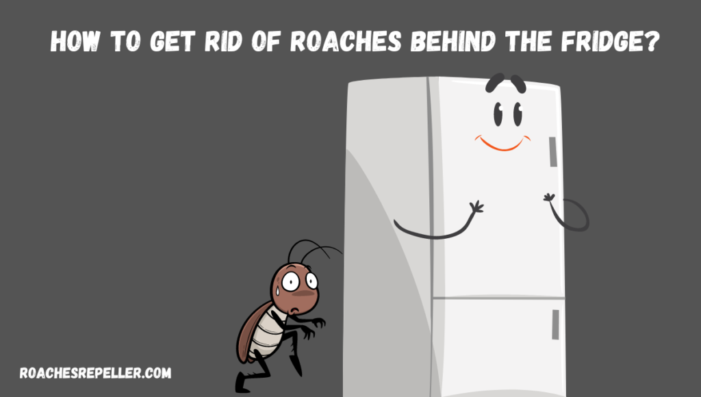How To Get Rid Of Roaches Behind The Fridge