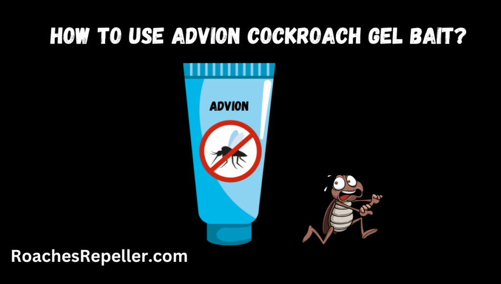 How to Use Advion Cockroach Gel Bait