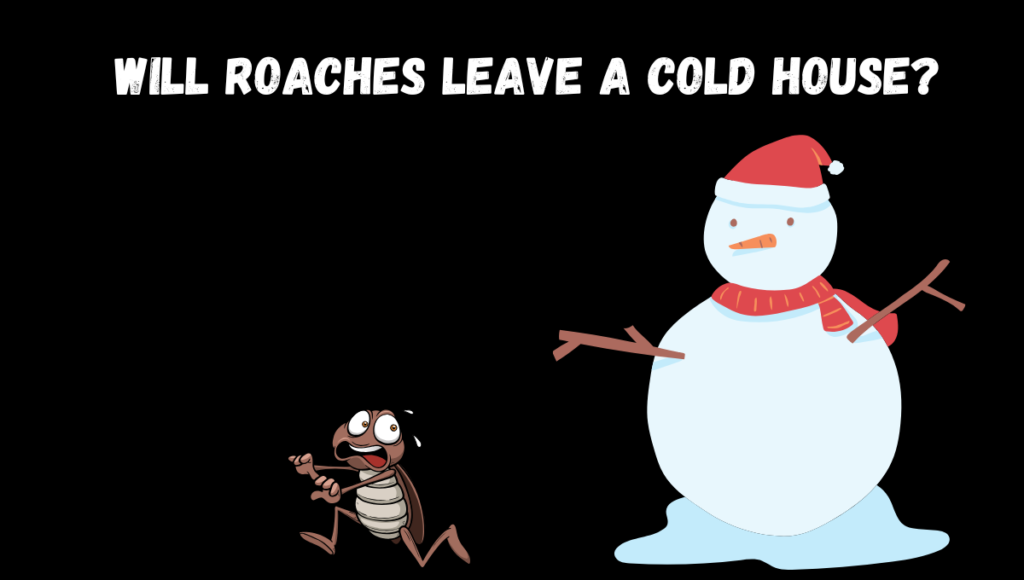 Will Roaches Leave A Cold House