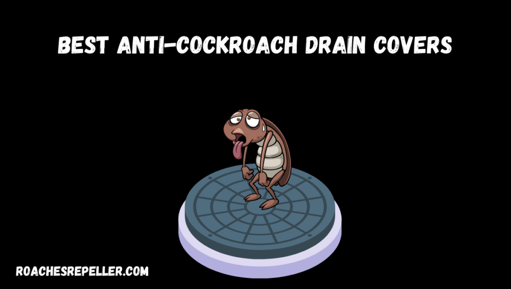 Best Anti-Cockroach Drain Covers