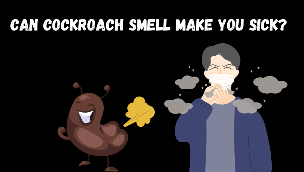 Can Cockroach Smell Make You Sick